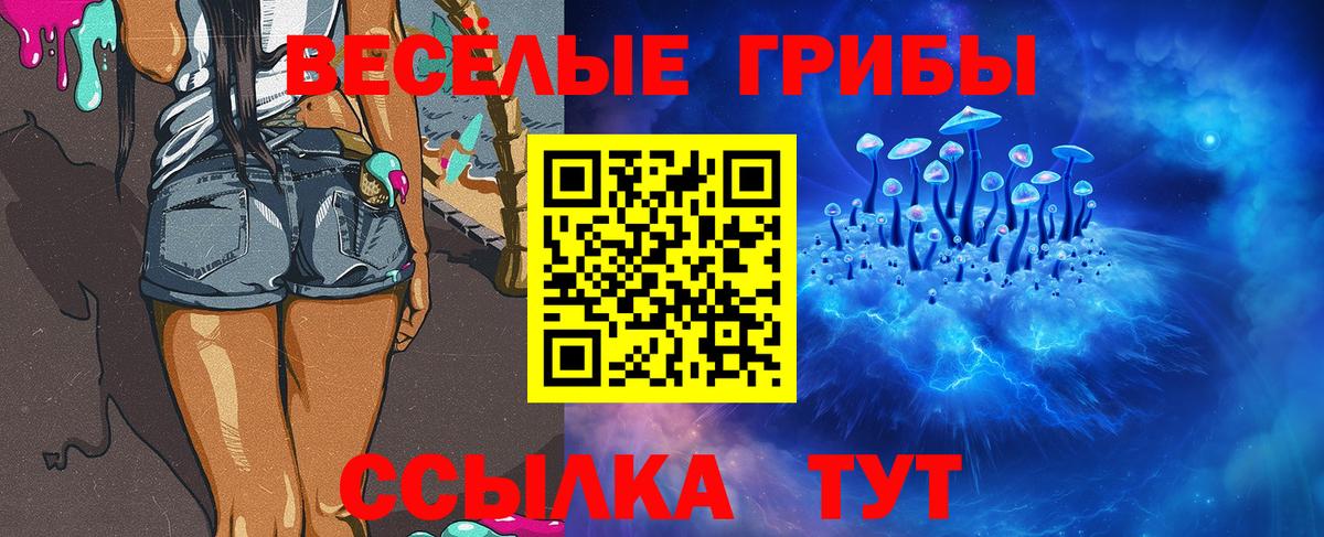 Галлюциногенные грибы GOLDEN TEACHER Кингисепп